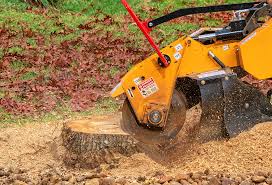 Best Soil Testing and Treatment  in Kimberling City, MO